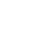 auto-finesse-logo